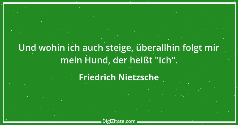 Zitat von Friedrich Nietzsche 1339