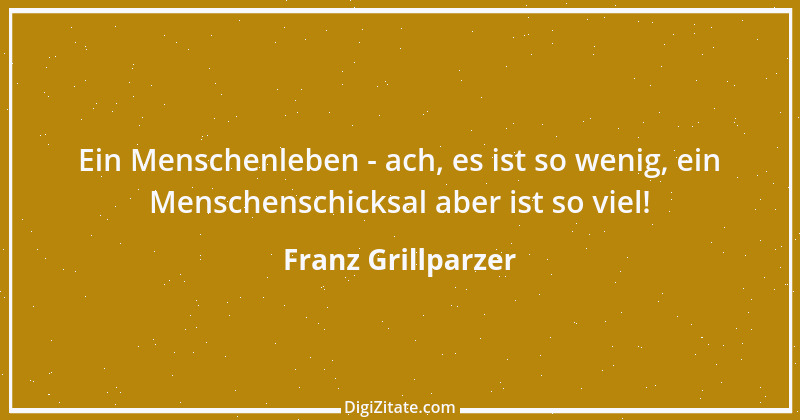 Zitat von Franz Grillparzer 250