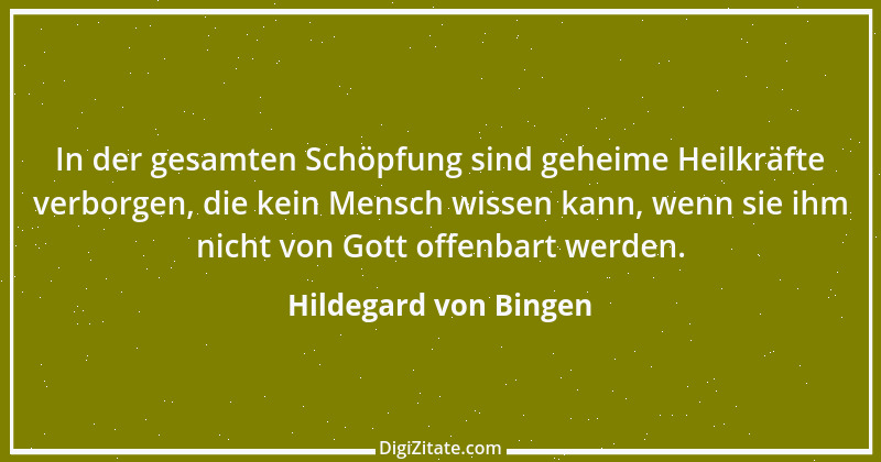 Zitat von Hildegard von Bingen 41