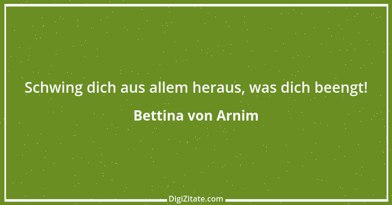 Zitat von Bettina von Arnim 49