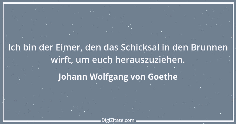 Zitat von Johann Wolfgang von Goethe 1794