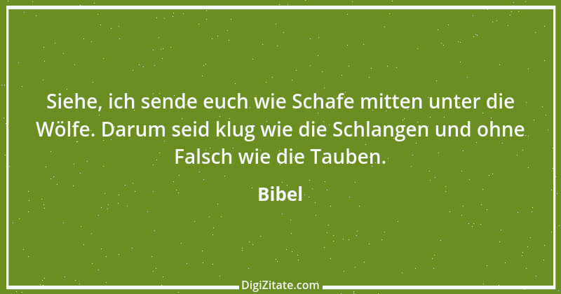 Zitat von Bibel 443