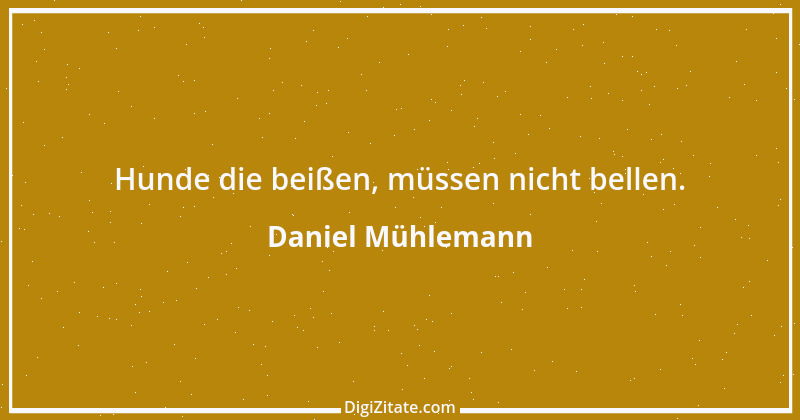 Zitat von Daniel Mühlemann 297