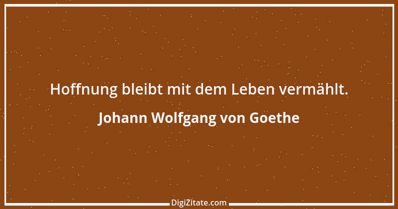 Zitat von Johann Wolfgang von Goethe 1408