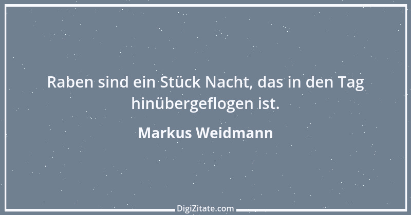 Zitat von Markus Weidmann 28