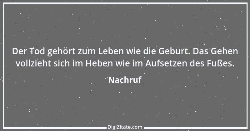 Zitat von Nachruf 3