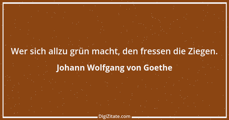 Zitat von Johann Wolfgang von Goethe 409