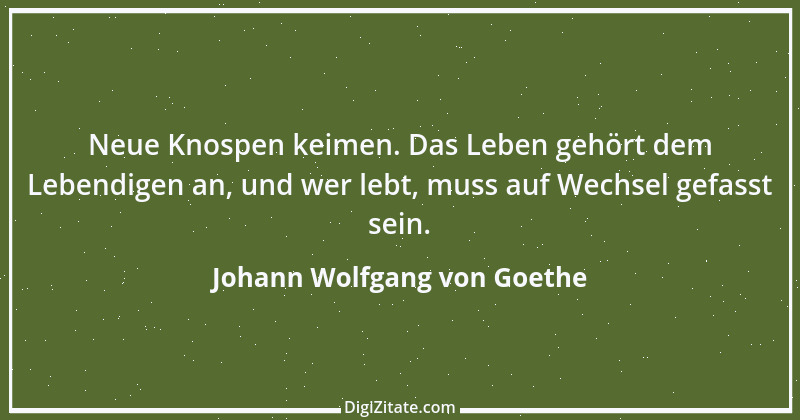 Zitat von Johann Wolfgang von Goethe 2410