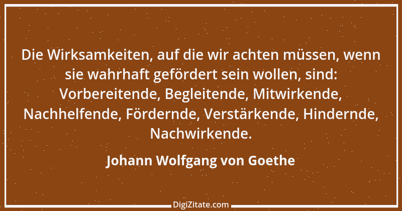 Zitat von Johann Wolfgang von Goethe 410