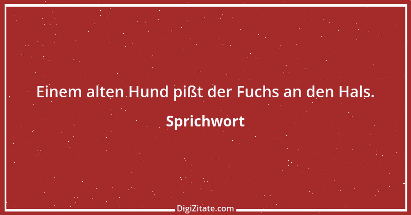 Zitat von Sprichwort 6402