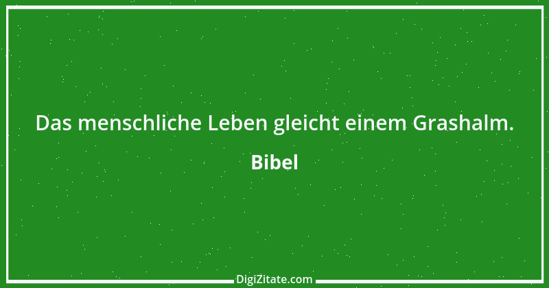 Zitat von Bibel 446