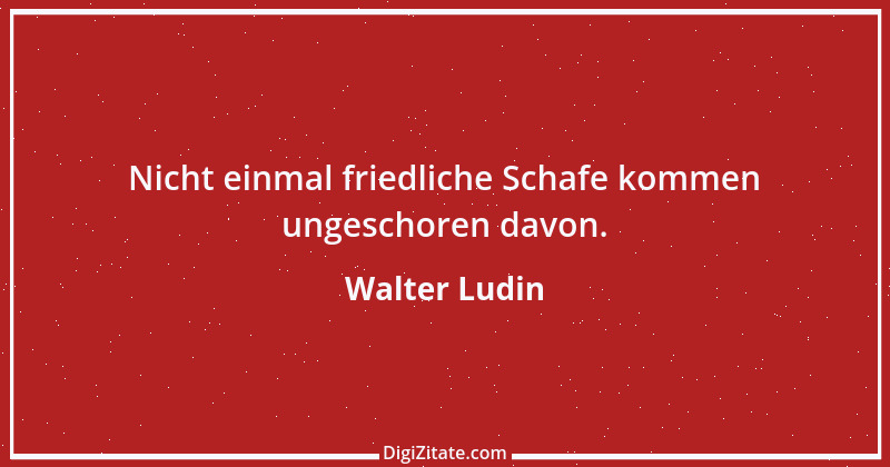 Zitat von Walter Ludin 913