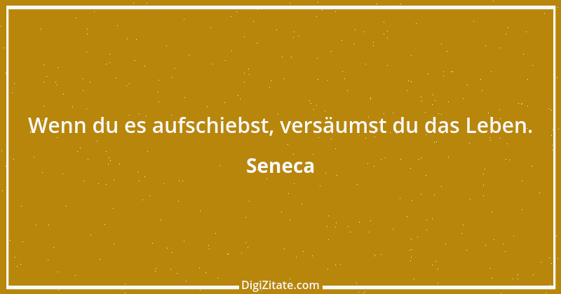 Zitat von Seneca 548