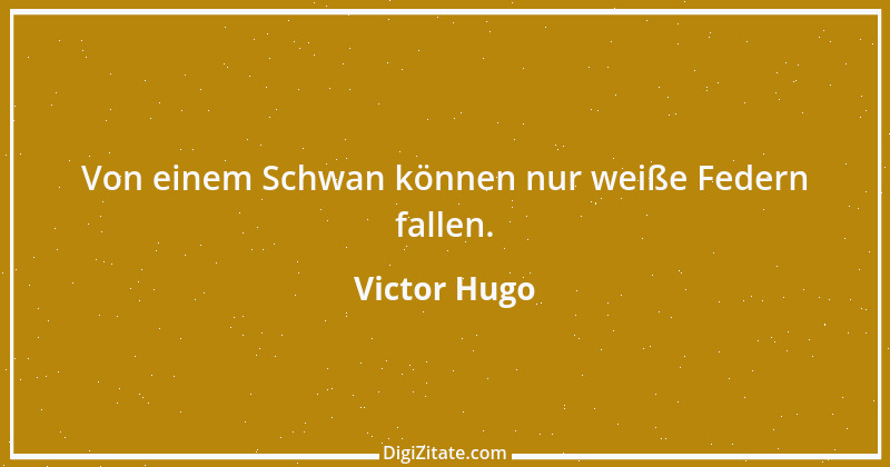 Zitat von Victor Hugo 98