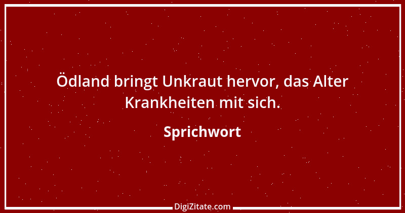 Zitat von Sprichwort 12406