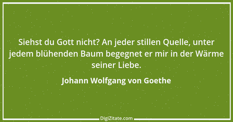 Zitat von Johann Wolfgang von Goethe 3415