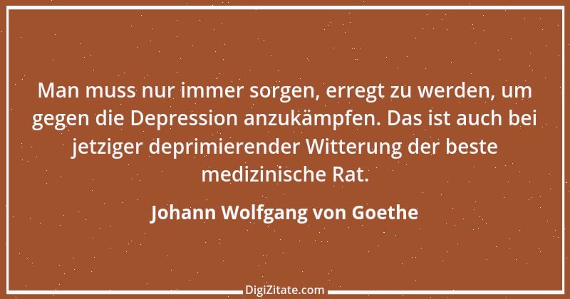 Zitat von Johann Wolfgang von Goethe 3795