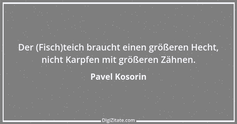 Zitat von Pavel Kosorin 178