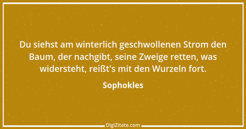 Zitat von Sophokles 67