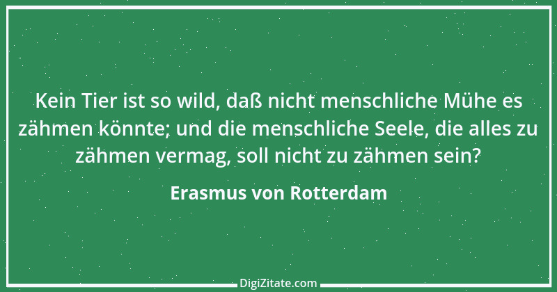 Zitat von Erasmus von Rotterdam 67