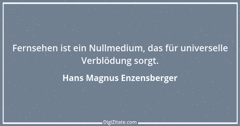 Zitat von Hans Magnus Enzensberger 11