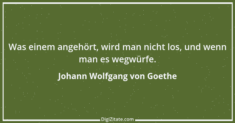 Zitat von Johann Wolfgang von Goethe 2421