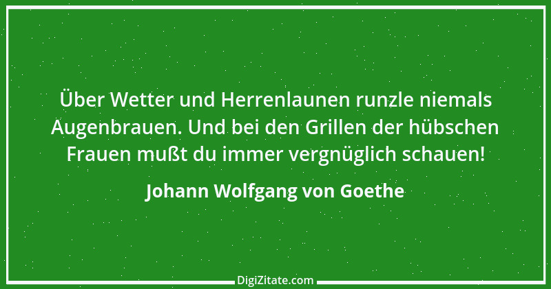 Zitat von Johann Wolfgang von Goethe 423