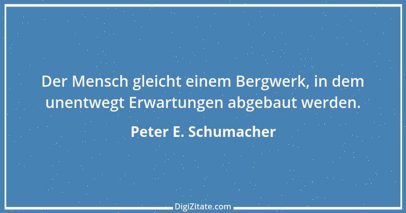 Zitat von Peter E. Schumacher 228