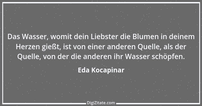 Zitat von Eda Kocapinar 6