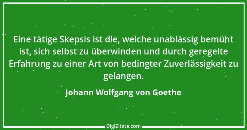 Zitat von Johann Wolfgang von Goethe 733