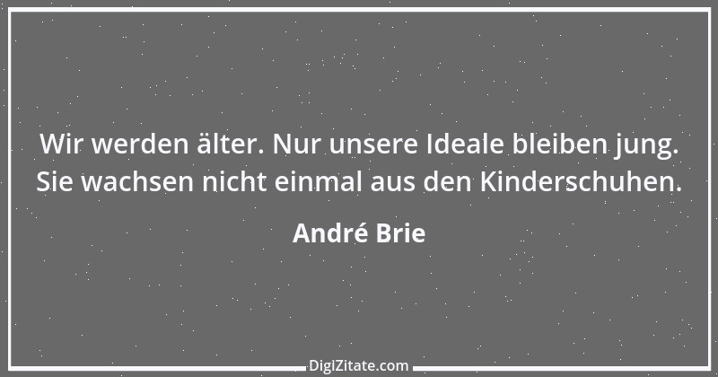 Zitat von André Brie 77