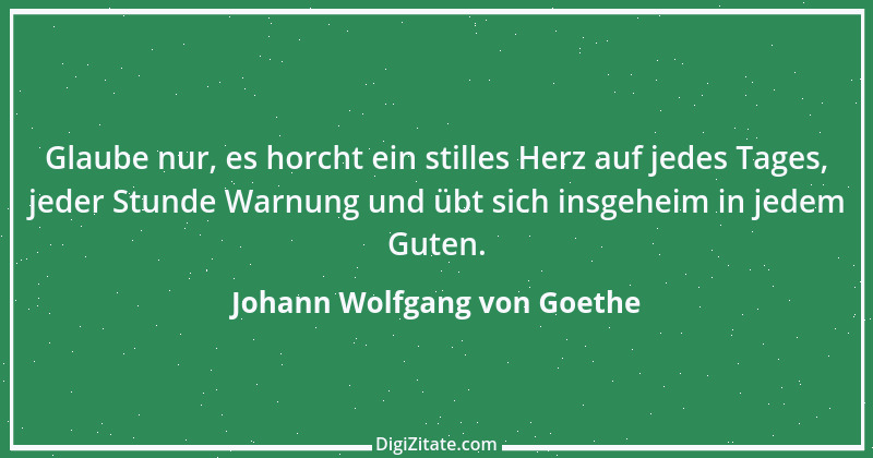 Zitat von Johann Wolfgang von Goethe 1796