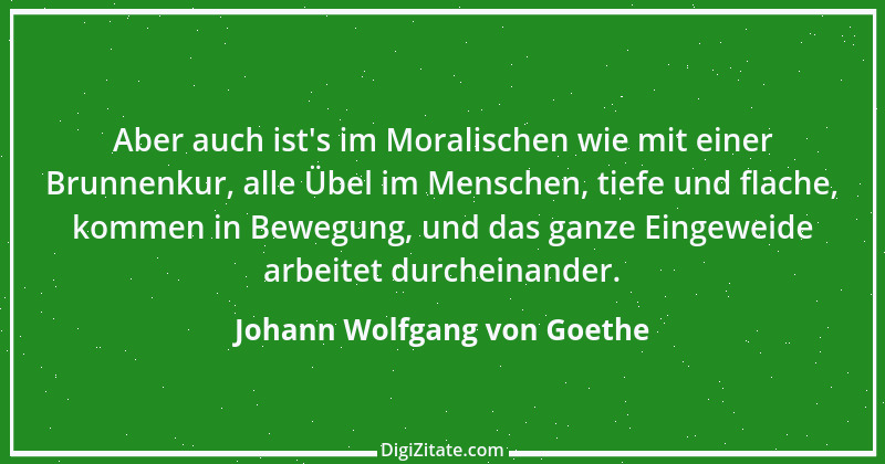 Zitat von Johann Wolfgang von Goethe 3796