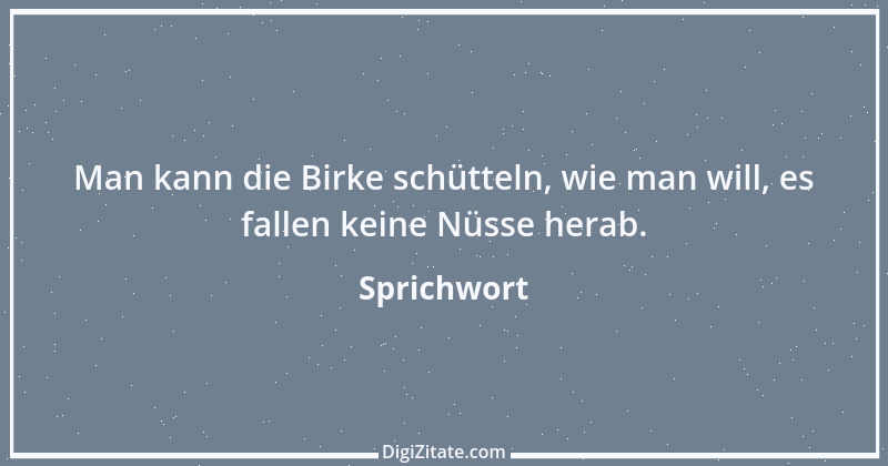 Zitat von Sprichwort 11788