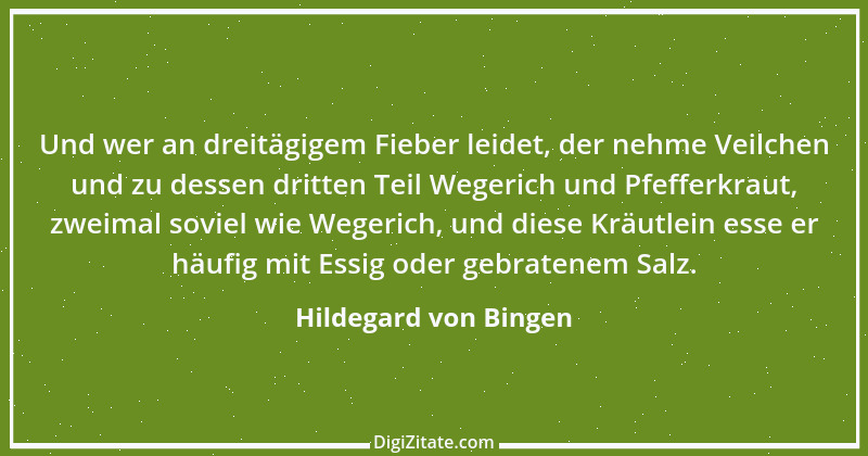 Zitat von Hildegard von Bingen 62