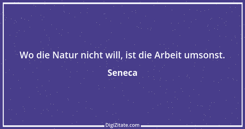 Zitat von Seneca 564