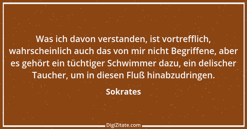 Zitat von Sokrates 113