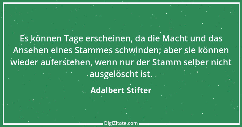 Zitat von Adalbert Stifter 4