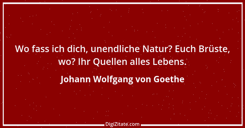 Zitat von Johann Wolfgang von Goethe 431