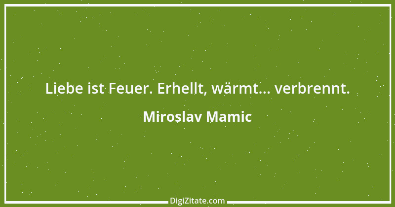 Zitat von Miroslav Mamic 4