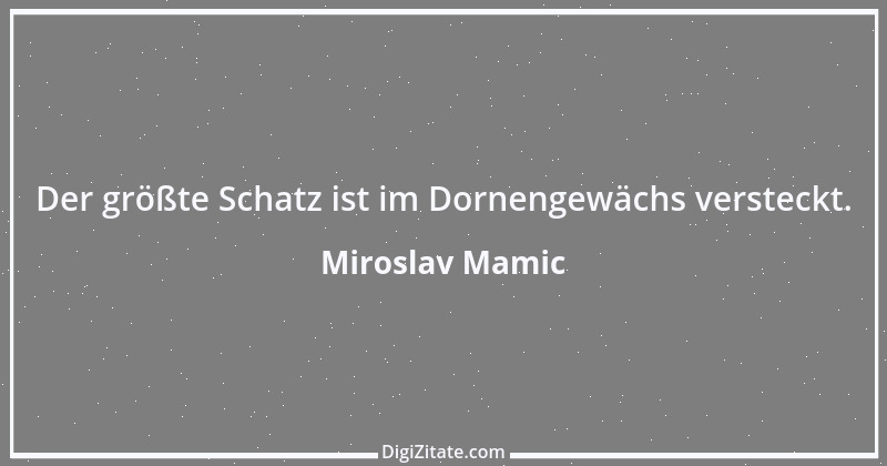 Zitat von Miroslav Mamic 6