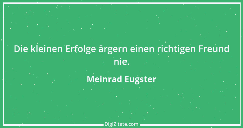 Zitat von Meinrad Eugster 1