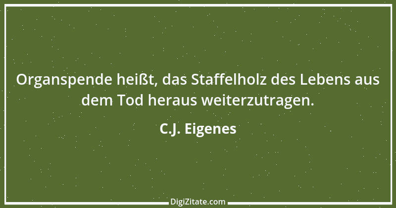 Zitat von C.J. Eigenes 6