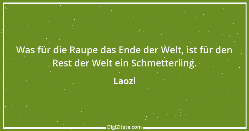 Zitat von Laozi 163