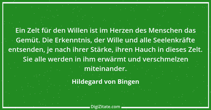 Zitat von Hildegard von Bingen 74