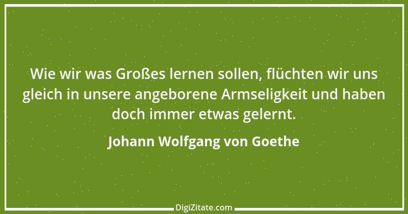 Zitat von Johann Wolfgang von Goethe 438