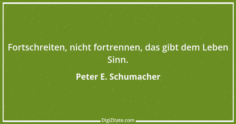 Zitat von Peter E. Schumacher 243