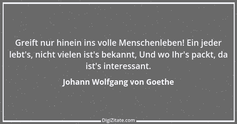 Zitat von Johann Wolfgang von Goethe 441