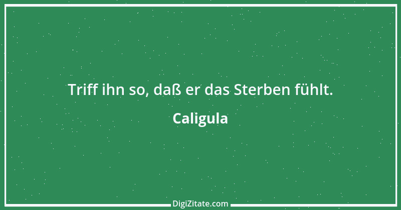 Zitat von Caligula 1