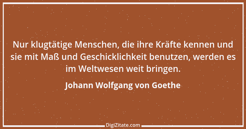 Zitat von Johann Wolfgang von Goethe 442